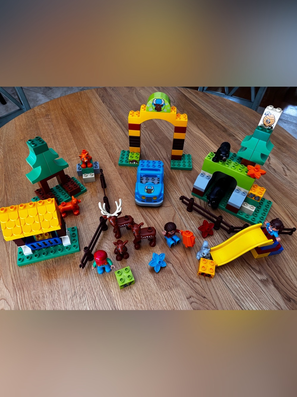 LEGO Duplo Forest Park Set